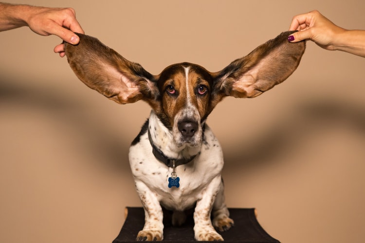 How to Clean Your Ears Properly